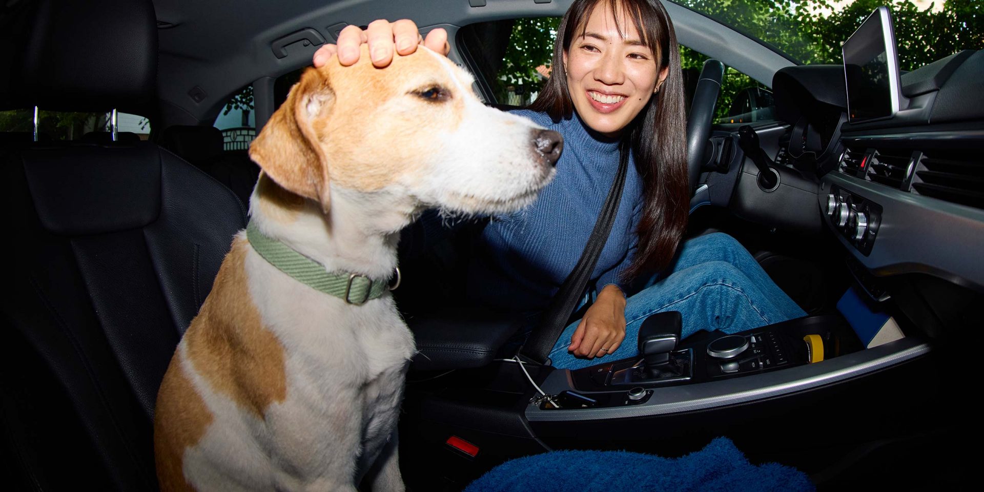 Eine Frau und ihr Hund sitzen in ihrem Auto, finanziert mit dem norisbank Autokredit.