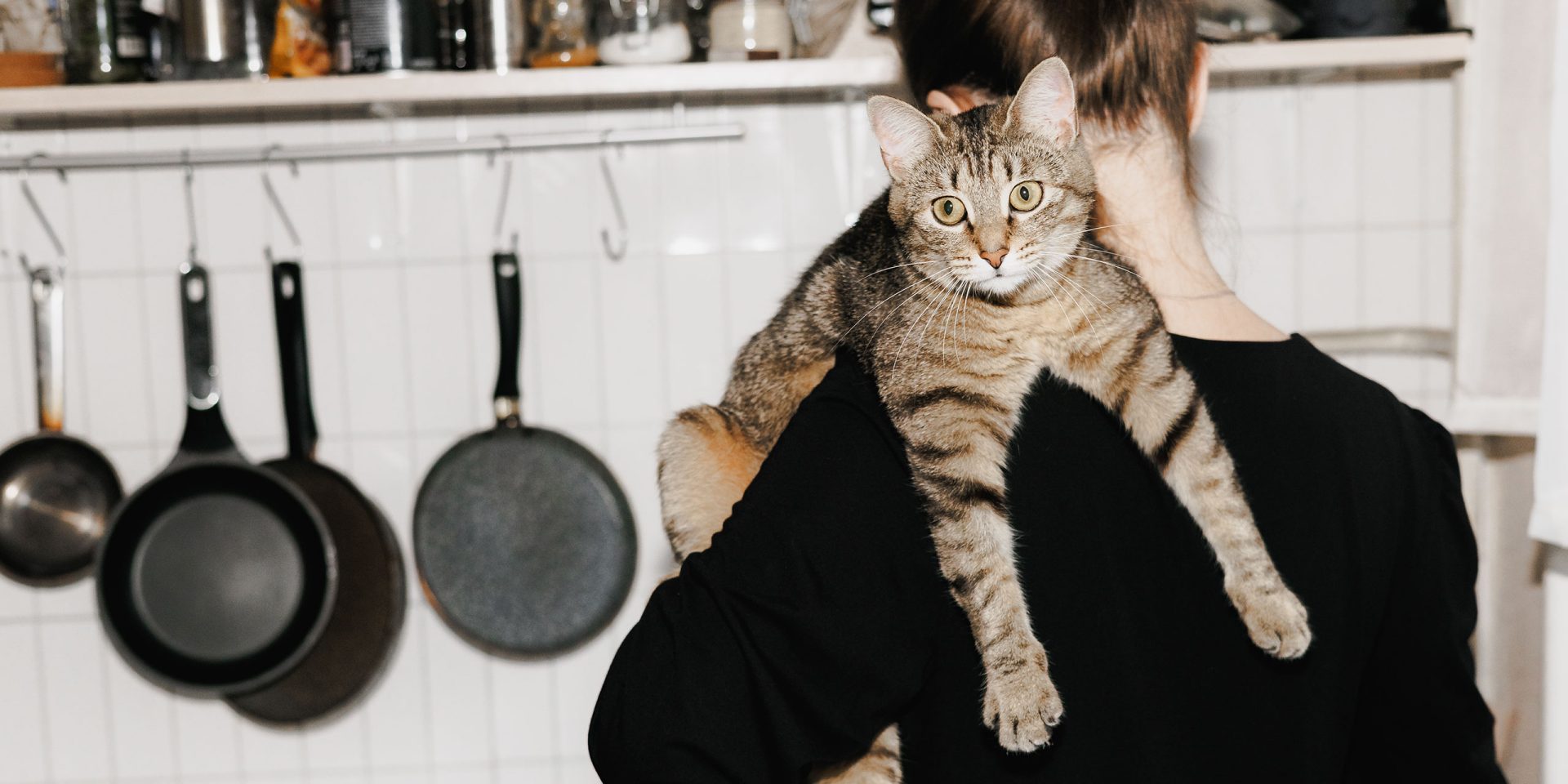 Frau in der Küche mit einer Katze auf der Schulter, Symbolbild für "Haushaltsbuch".