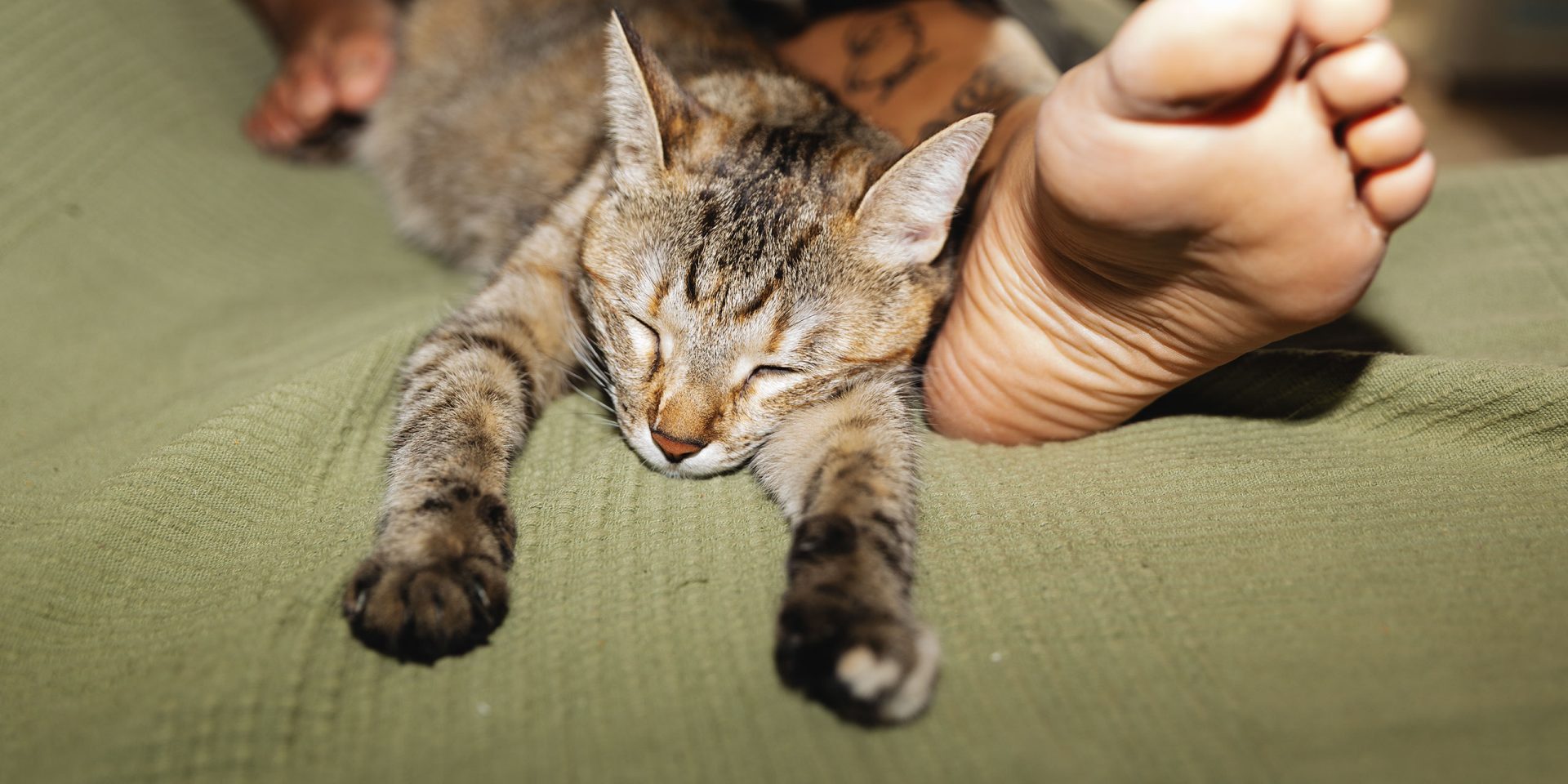 Eine Katze liegt enstpannt auf dem Sofa neben dem Fuß einer Person - Symbolbild für "Restschuldversicherung".
