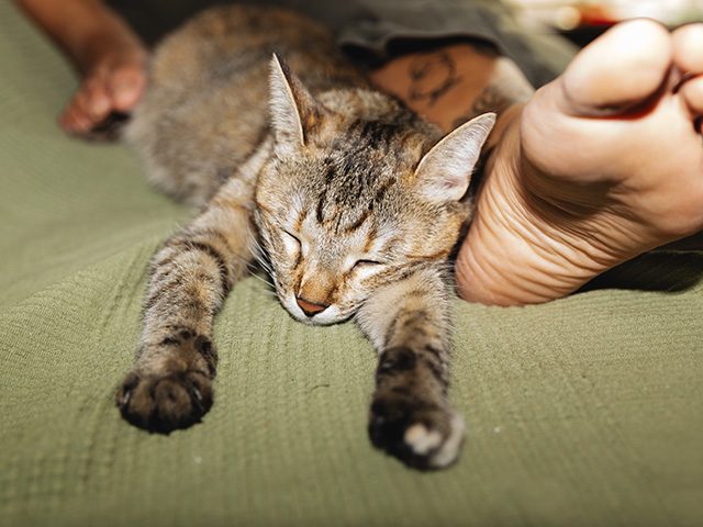 Mehr zur Restschuldversicherung