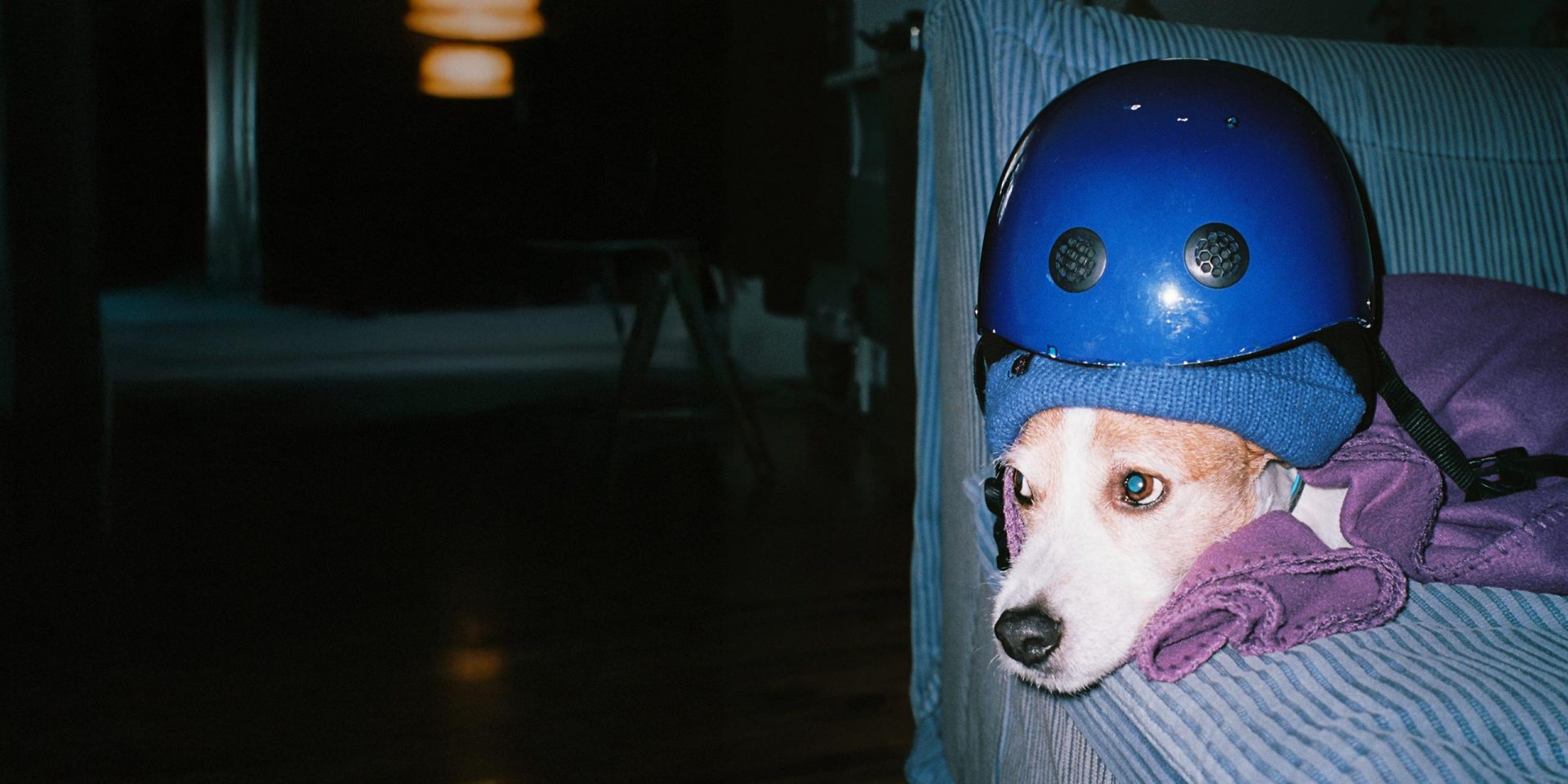 Sich gut absichern und den Überblick behalten – mit dem Versicherungsmanager Qira kann man Versicherungen ganz einfach online managen. 