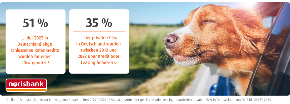 Infografik: 51% der in deutschland abgeschlossenen Ratenkredite wurden für einen Pkw genutzt, 35% der privaten Pkw in Deutschland wurden zwischen 2012 und 2022 über Kredit oder Leasing finanziert