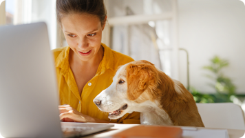 home-office-situation: norisbank-mitarbeiterin arbeitet am laptop. ihr Hund schaut mit auf den bildschirm.