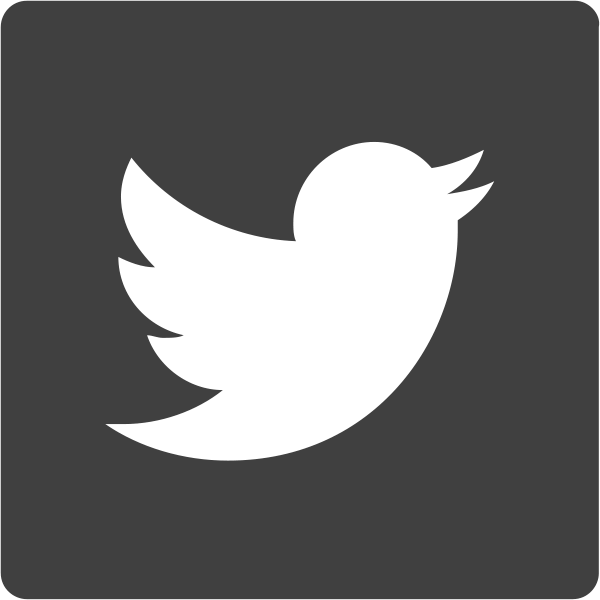 twitter Icon